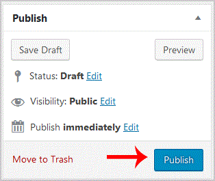 wp-publish-first-post.gif